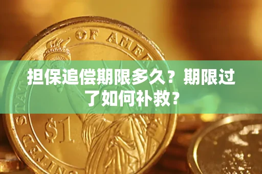 济南担保追偿期限多久？期限过了如何补救？